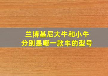 兰博基尼大牛和小牛分别是哪一款车的型号