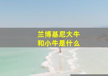 兰博基尼大牛和小牛是什么