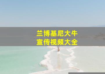 兰博基尼大牛宣传视频大全