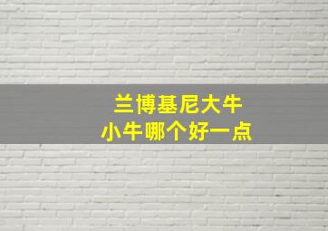 兰博基尼大牛小牛哪个好一点