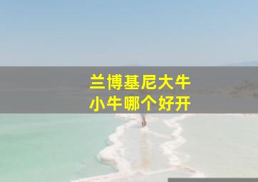 兰博基尼大牛小牛哪个好开