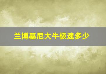 兰博基尼大牛极速多少