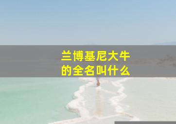 兰博基尼大牛的全名叫什么