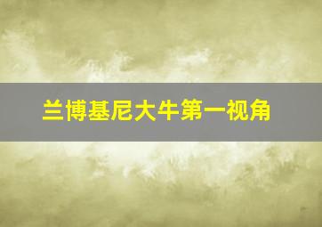 兰博基尼大牛第一视角