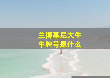 兰博基尼大牛车牌号是什么