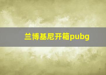 兰博基尼开箱pubg