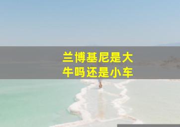 兰博基尼是大牛吗还是小车