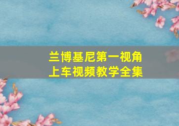 兰博基尼第一视角上车视频教学全集