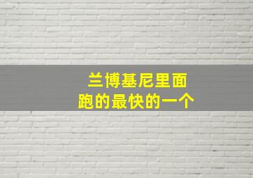 兰博基尼里面跑的最快的一个