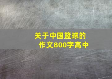 关于中国篮球的作文800字高中