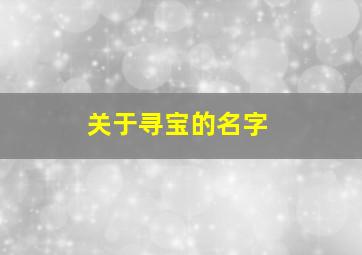 关于寻宝的名字