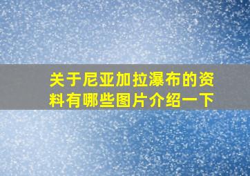 关于尼亚加拉瀑布的资料有哪些图片介绍一下