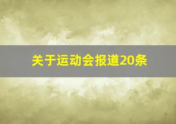 关于运动会报道20条