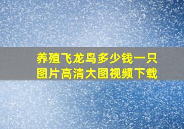 养殖飞龙鸟多少钱一只图片高清大图视频下载