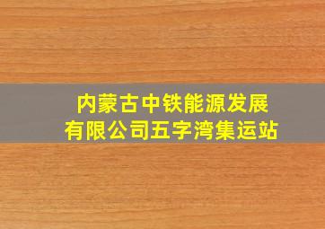 内蒙古中铁能源发展有限公司五字湾集运站