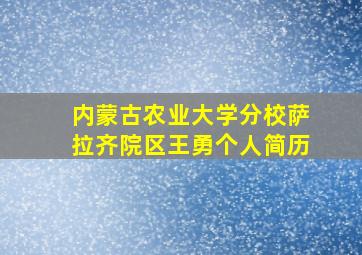 内蒙古农业大学分校萨拉齐院区王勇个人简历