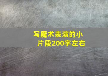 写魔术表演的小片段200字左右