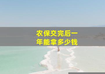 农保交完后一年能拿多少钱