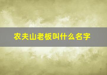 农夫山老板叫什么名字