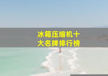 冰箱压缩机十大名牌排行榜