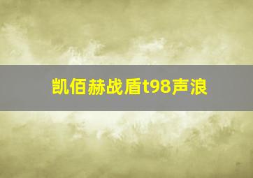 凯佰赫战盾t98声浪