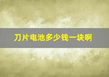 刀片电池多少钱一块啊