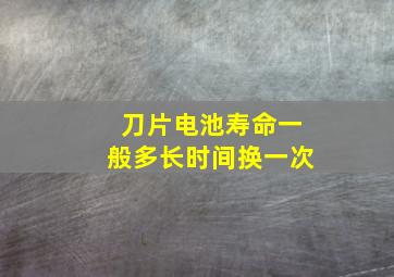 刀片电池寿命一般多长时间换一次