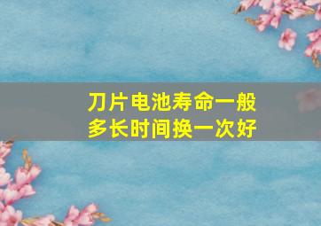 刀片电池寿命一般多长时间换一次好