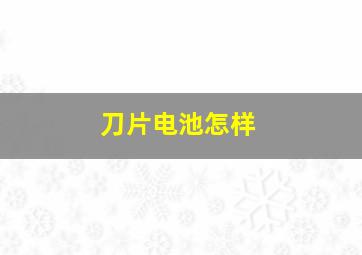 刀片电池怎样