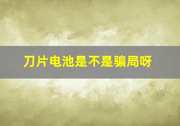 刀片电池是不是骗局呀