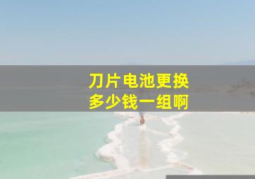 刀片电池更换多少钱一组啊