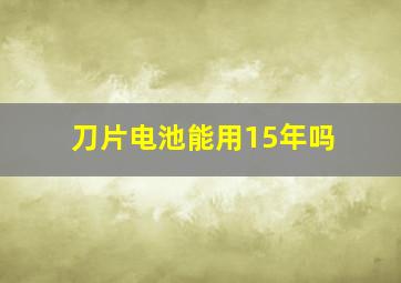 刀片电池能用15年吗