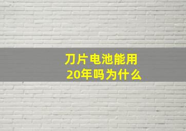 刀片电池能用20年吗为什么