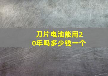 刀片电池能用20年吗多少钱一个