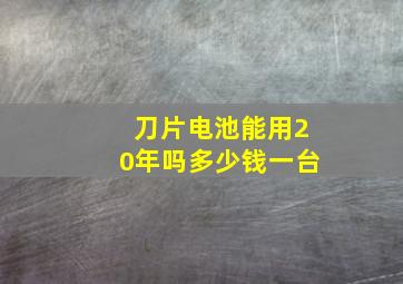 刀片电池能用20年吗多少钱一台