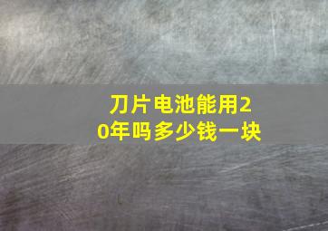 刀片电池能用20年吗多少钱一块