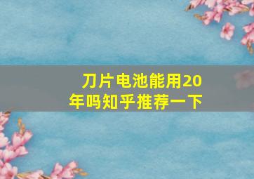 刀片电池能用20年吗知乎推荐一下