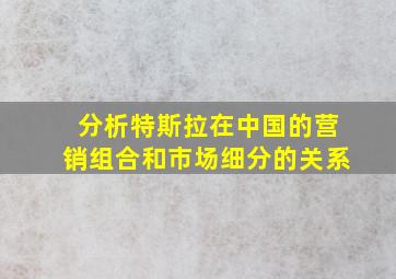 分析特斯拉在中国的营销组合和市场细分的关系