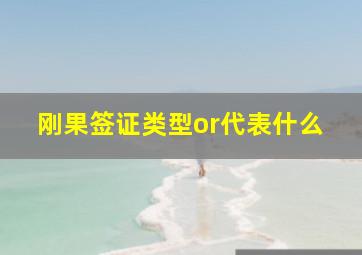 刚果签证类型or代表什么