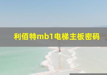 利佰特mb1电梯主板密码