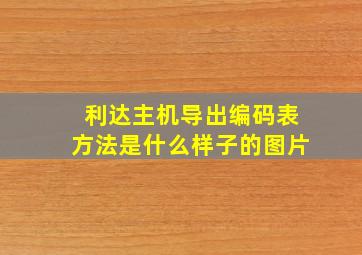 利达主机导出编码表方法是什么样子的图片