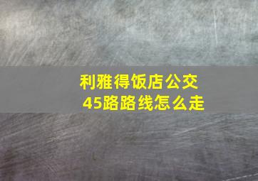 利雅得饭店公交45路路线怎么走