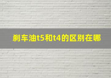 刹车油t5和t4的区别在哪