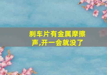 刹车片有金属摩擦声,开一会就没了