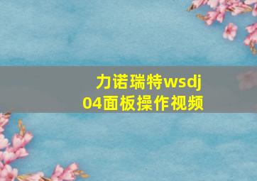 力诺瑞特wsdj04面板操作视频