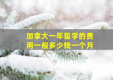 加拿大一年留学的费用一般多少钱一个月