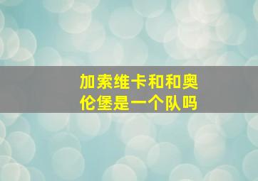 加索维卡和和奥伦堡是一个队吗