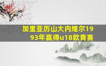 加里亚历山大内维尔1993年赢得u18欧青赛