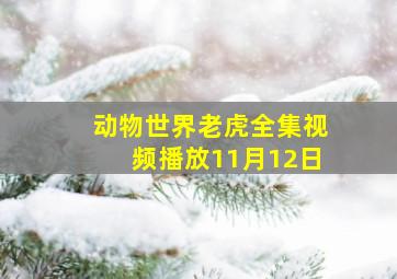 动物世界老虎全集视频播放11月12日