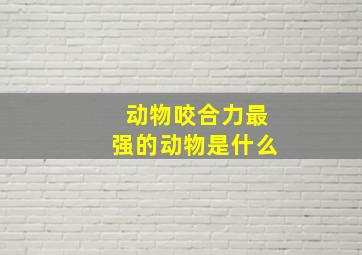 动物咬合力最强的动物是什么